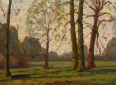 John Brown (20th Century) British, Dusk through trees, oil on board, signed with initials, 9