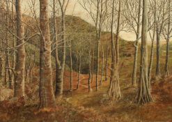 E. Alexander Lowe, 1950, British, A tree lined path with hills beyond, oil on board, signed and