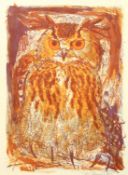 David Koster, A Great owl, lithograph, signed in pencil, numbered 52/75, 28