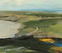 Neil Murison, 'Coast line', acrylic on board, inscribed and titles verso, 7
