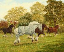 James Warren, 'Sullivan', A Whitbread Shire horse, oil on canvas, signed, 18