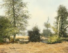 J. Hughes, Summer landscape, oil on canvas, signed and dated '52, 13.75