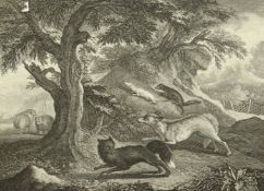 After Jean-Baptiste Oudry (1686-1755), 'La Merite Superficiel', 18th Century engraving, 14