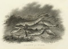 Scott after Elmer, 'Group of Fish', published 1801, 5