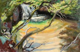 Phyllis Bray (1911-1991) British, A waterfall in a woodland glade, oil on canvas, signed, 24