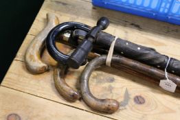 Various walking sticks.