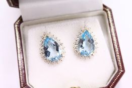 A pair of matching pear shaped earrings.