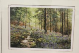 A Rural Wooded Landscape with Bluebells limited edition colour print.