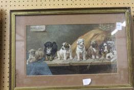 An amusing print of dogs.