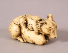 A JAPANESE MEIJI PERIOD CARVED IVORY NETSUKE - SHEEP & LAMB - the sheep recumbent with its young -
