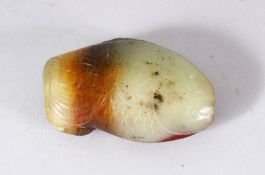 AN UNUSUAL CHINESE CARVED JADE FISH FORMED SNUFF BOTTLE - the bottle carved in the form of a fish