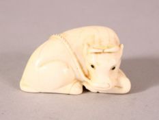 A JAPANESE MEIJI PERIOD CARVED IVORY NETSUKE OF A RECUMBENT OXEN - the oxen recumbent - the