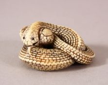 A JAPANESE MEIJI PERIOD CARVED IVORY NETSUKE OF A SNAKE - the snake coiled in to itself, 4cm `