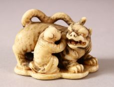 A FINE JAPANESE MEIJI PERIOD CARVED IVORY NETSUKE OF A TIGER & BOY BY SHOUNSAI JORYU - the fine