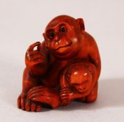 A JAPANESE CARVED WOODEN NETSUKE OF TWO MONKEYS - one seated monkey with its young, signed underside