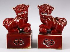 A PAIR OF CHINESE COPPER RED PORCELAIN LION DOG FIGURES - the mirrored pair upon a fixed base with