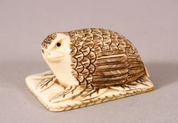 A JAPANESE CARVED IVORY NETSUKE OF A RECUMBENT QUAIL - seated upon stylized leaf, signed underside