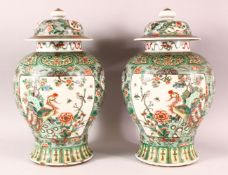 A PAIR OF CHINESE FAMILLE VERTE PORCELAIN JARS AND COVERS, each painted with two large panels