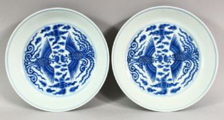 A GOOD PAIR OF CHINESE BLUE AND WHITE DISHES, painted with phoenix birds and stylised clouds, six
