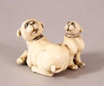 A JAPANESE MEIJI / TAISHO PERIOD CARVED IVORY NETSUKE OF TWO dogs - the parent recumbent with pup