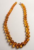 A STRING OF THIRTY NINE GRADUATED AMBER BEADS with gold clasp.