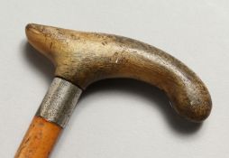 A CANE WITH RHINO HANDLE