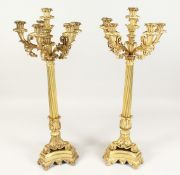 A SUPERB LARGE PAIR OF 19TH CENTURY SIX LIGHT TALL CANDELABRA on triangular bases 30ins high