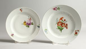 TWO 19TH CENTURY MEISSEN CIRCULAR PLATES painted with flowers Cross swords mark in blue, 9ins & 8ins