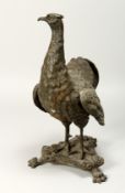 A GOOD EARLY 19TH CENTURY BRONZE FIGURE OF A TURKEY on a triangular base on claw feet. 18ins high.