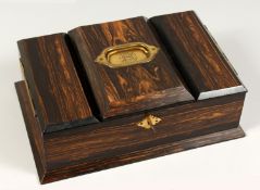 A GOOD VICTORIAN COROMANDEL CIGAR BOX 12ins wide.