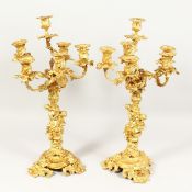 A SUPERB LARGE PAIR OF 19TH CENTURY SIX LIGHT ORMOLU CANDELABRA with shells, acanthus and cupids