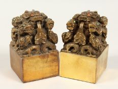 A PAIR OF LARGE CHINESE SQUARE GILT BRONZE SEATS. 5.5ins high.