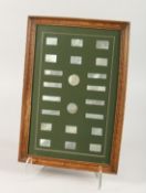 TWENTY TWO ENGRAVED MOTHER OF PEARL COUNTERS in a frame. 12ins x 17ins.