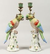 A PAIR OF PARROT PORCELAIN AND METAL CANDLESTICKS 14ins high.