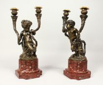 A VERY GOOD PAIR OF BRONZE CHERUB CANDLELABRA after CLODION, with scrolling branches on marble