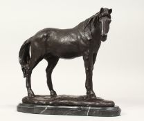 A BRONZE HORSE on a marble base 9ins high.,