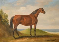 C. Harrison, 20th Century School, a pair of horse portraits, oil on panel, each 5