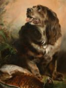 Late 20th Century, A Spaniel with a sleeping Pheasant, oil on canvas, 18