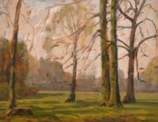 John Brown (20th Century) Autumn Trees, oil on board, initialled, 8
