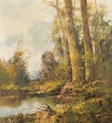 20th Century European School, A wooded landscape with mountains beyond, oil on canvas,