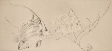 Edward Julius Detmold (1883-1957) British, 'Angel Fish', etching, signed in pencil, 6