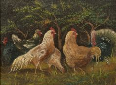 Czech School, 19th Century, chickens and a turkey in a tree lined field, oil on canvas, indistinctly