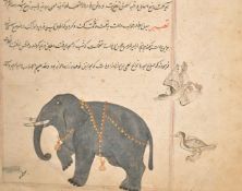 Isfahan School, possibly 17th Century, Miniature of an elephant and two ducks, ink and