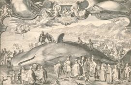 Jan Saenredam, 'The Great Whale Washed up on the Shores of Holland, 1601', an Early 17th Century Old
