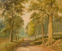 David Mead (1906-1986) British, 'Balcombe Forrest, Sussex', A track through the woods, oil on board,