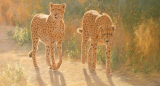 Kim Donaldson, (b.1952) Zimbabwe, Two Cheetahs on a track, pastel and mixed media, signed, 30