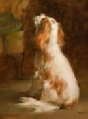Joseph H. Sulkowski (Born 1951) The Cavalier dog, oil on board, signed, 16