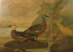 Na ve School, two birds on a rock with a rocky coastline beyond, oil on panel, 23