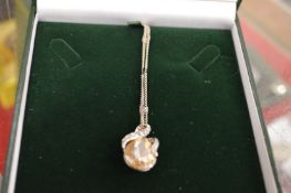 A decorative pendant and chain.