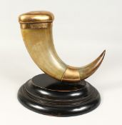 A VERY GOOD LARGE HORN TABLE SNUFF MULL, the curving form 18ins long with brass top and brass plaque